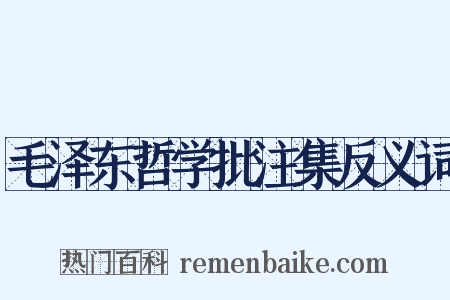 毛泽东哲学批注集反义词是什么意思的图片